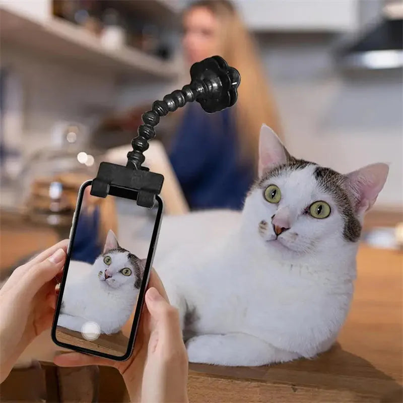 Pet photography tool with snack clip, 360-degree rotation, black plastic phone holder