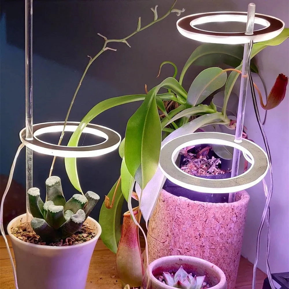 LED grow light full spectrum angel ring USB phytolamp for indoor plants