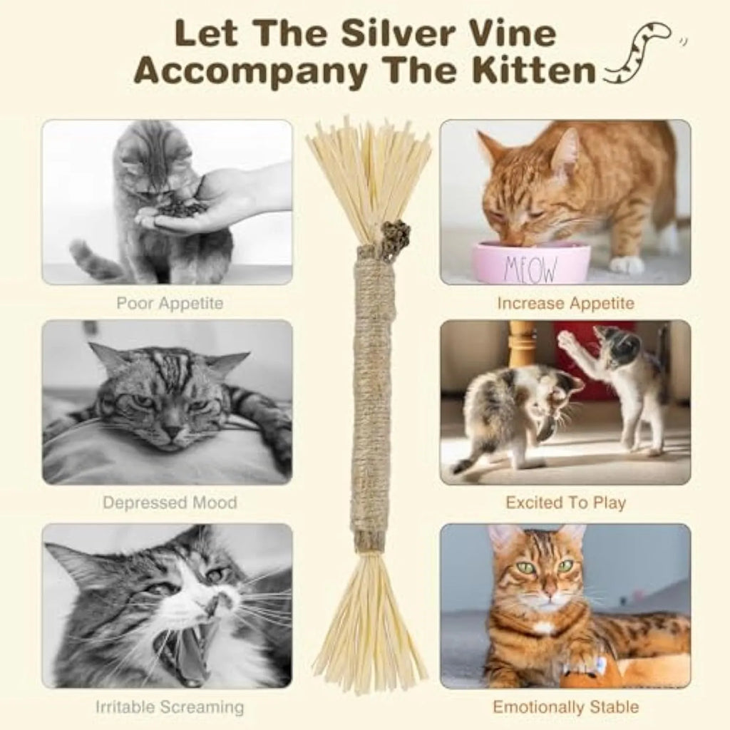 3 pack natural silvervine cat chew sticks with sisal rope for dental care