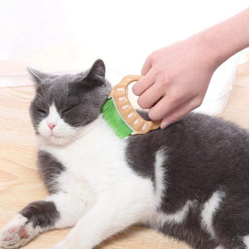 Shell shaped pet grooming brush in green, orange, or purple colours for dogs and cats