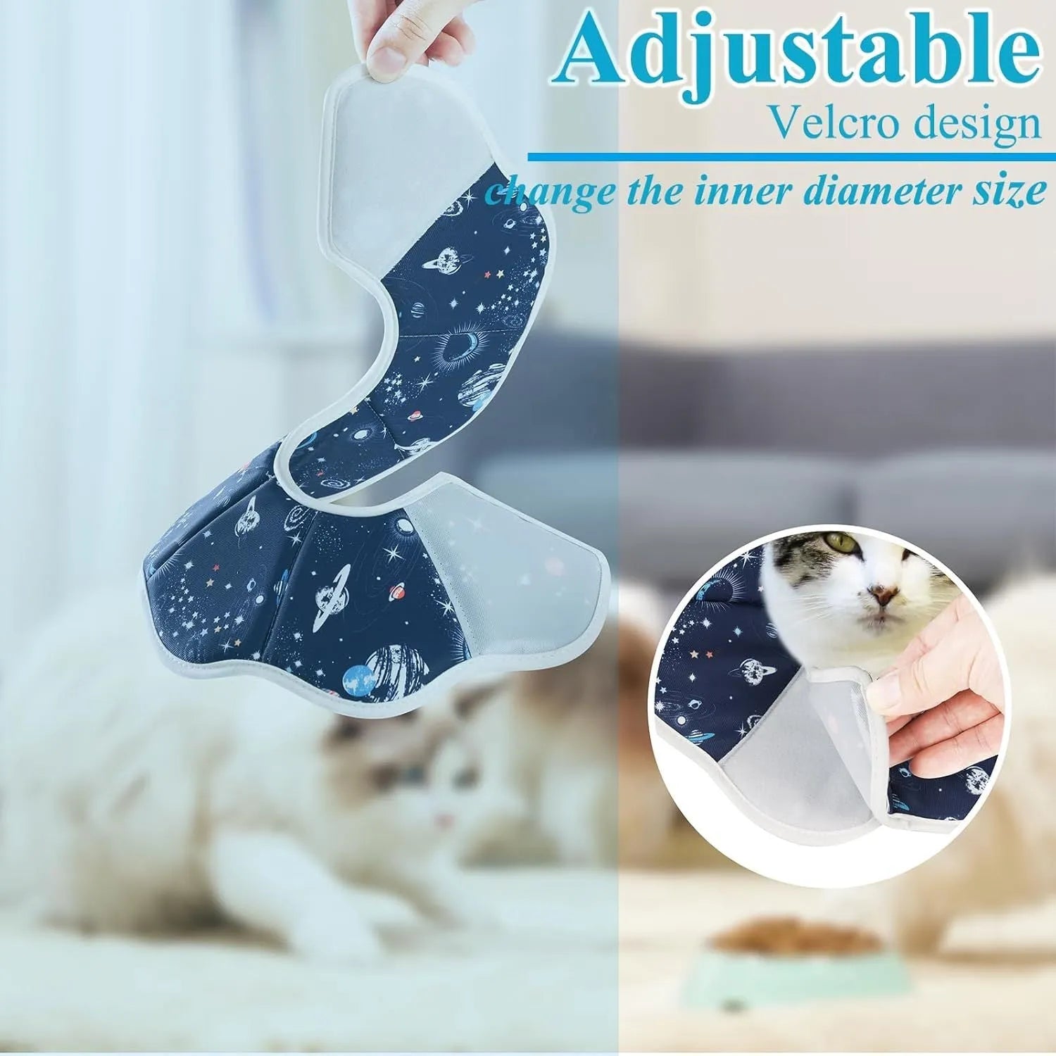 Soft cat recovery collar in Constellation pattern on a small cat resting after surgery