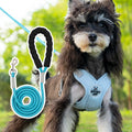 A colourful dog walking vest harness with an attached lead rope, shown in blue, green, pink, or yellow.
