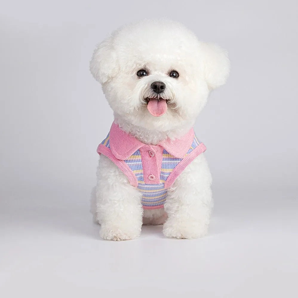 Pink purple sleeveless autumn vest for a small dog on a weight-based size chart.
