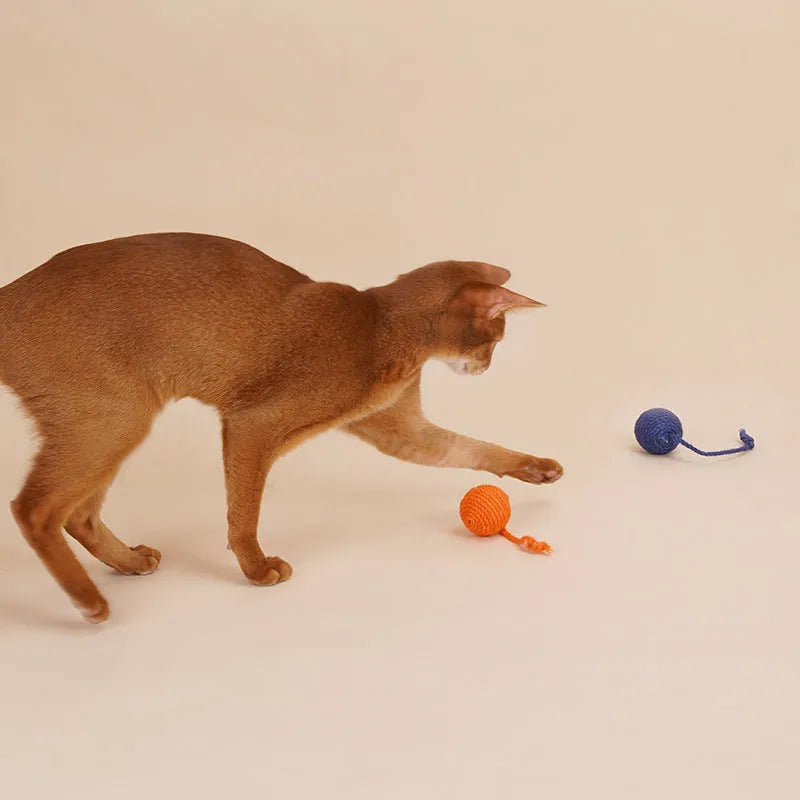 Cat toy set with blue green red yellow wand and bite-resistant catnip ball