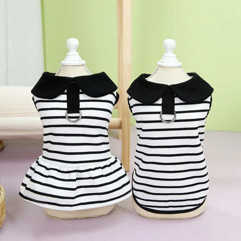 Striped cotton t-shirt and skirt set for a dog or cat on a hanger.