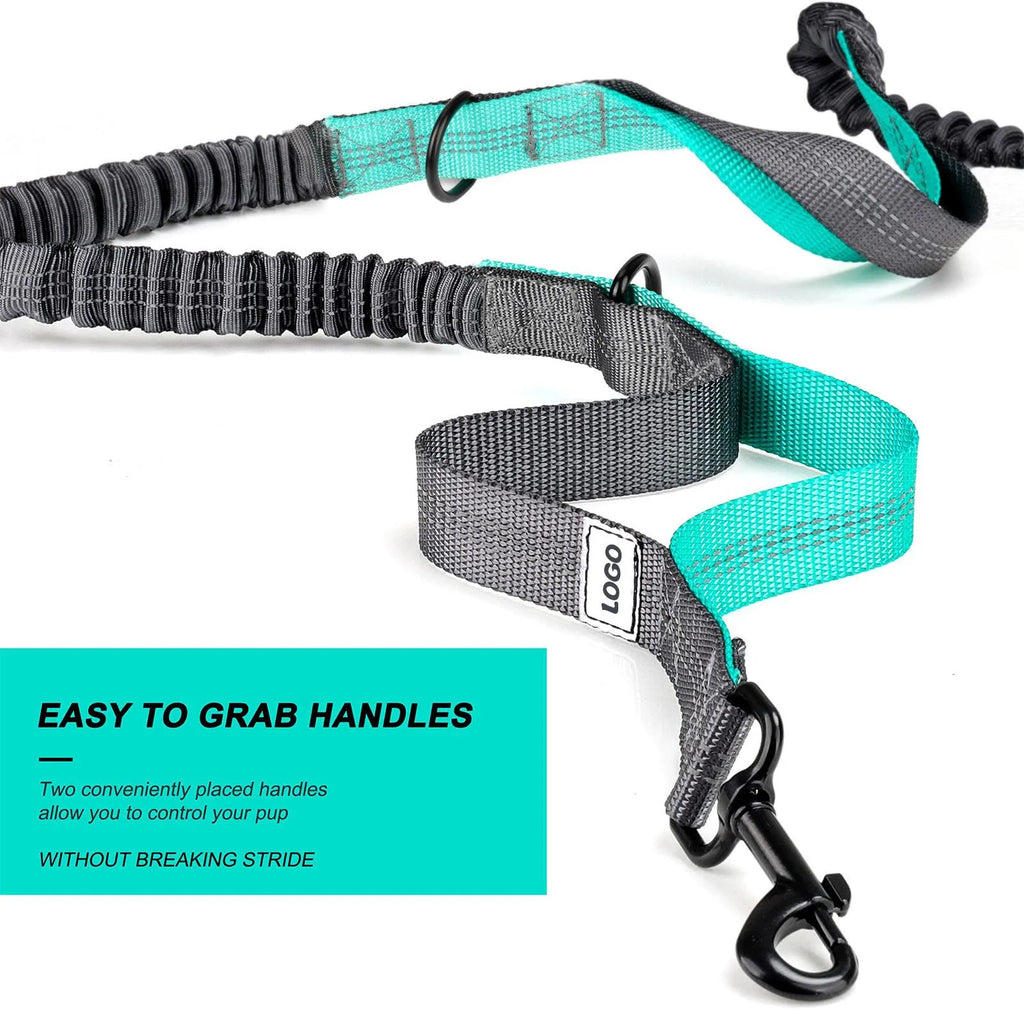 Black nylon dog walking waist bag with integrated leash for hands-free outdoor pet training