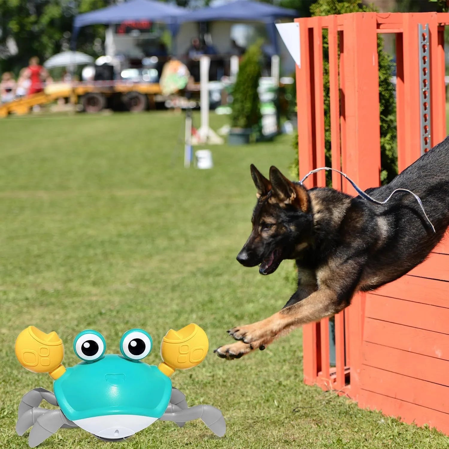 Blue interactive crawling crab dog toy with electronic sensors for obstacle avoidance