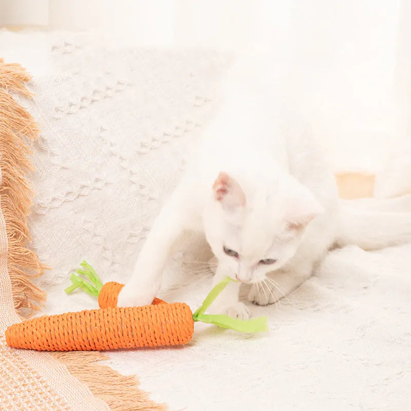 Cat toy set with carrot-shaped chew toys, crinkly paper toys, ringing stones, interactive sticks, and tooth grinding items
