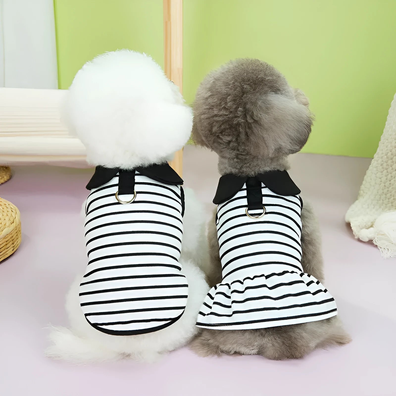 Striped cotton t-shirt and skirt set for a dog or cat on a hanger.