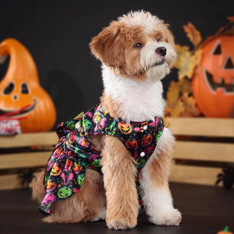 Orange or black bat patterned angel wings Halloween costume for a dog