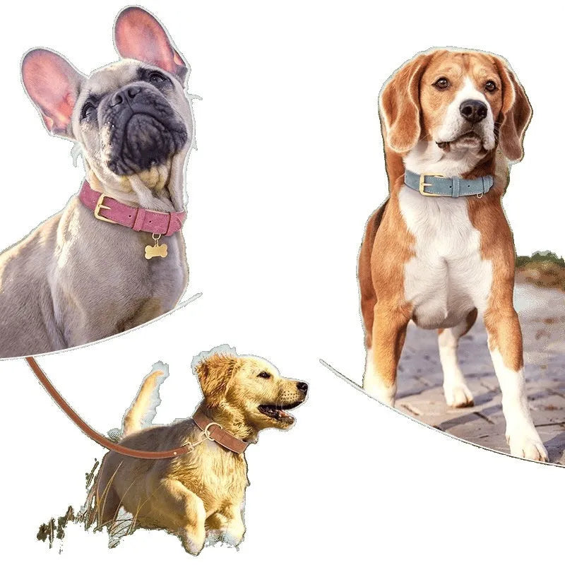 A brown double-layer leather dog collar and matching leash for medium-sized dogs.
