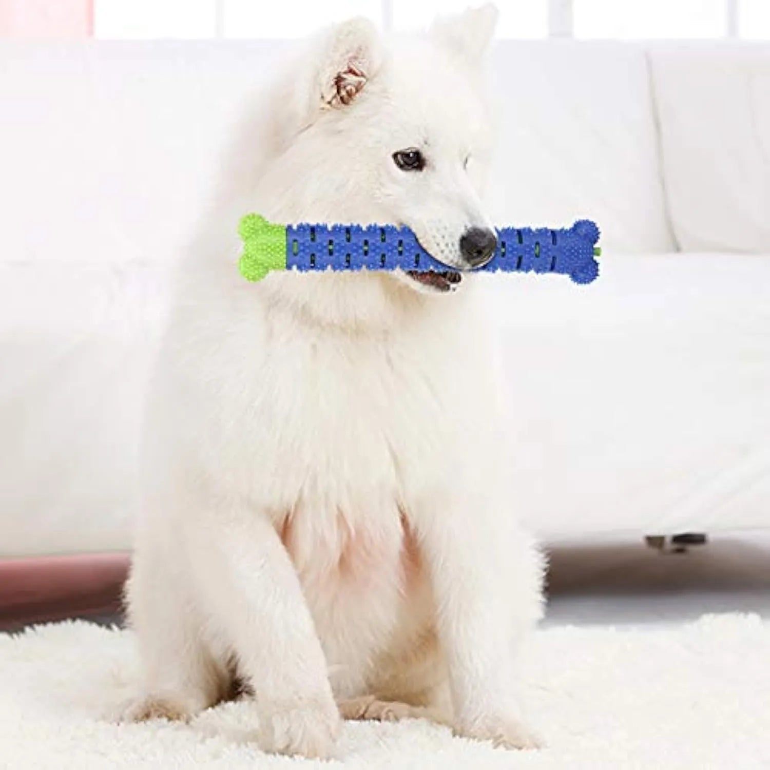 Blue-green dog molar tooth cleaner with serrated brush head design and silicone massage nodules