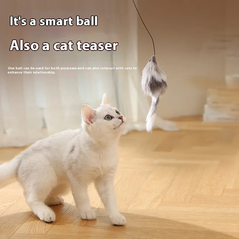 Automatic cat toy mouse teaser ball with plush mouse in blue orange and dark gray on floor