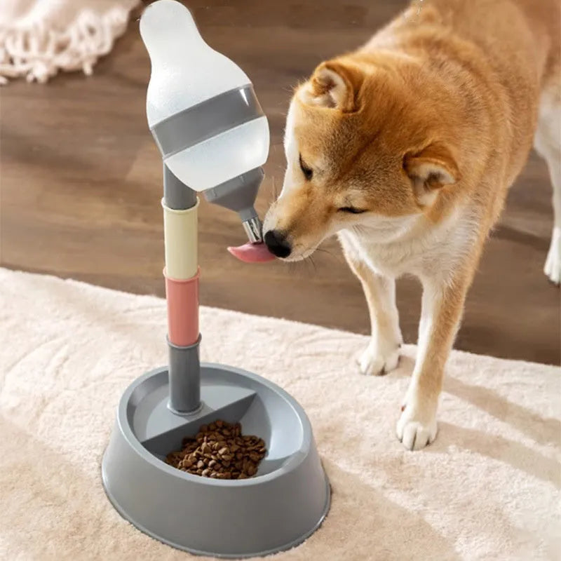 Adjustable height pet water dispenser with detachable bowl in green, grey or pink colours