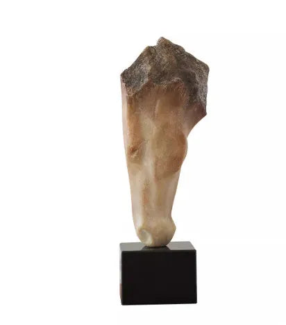 French retro style abstract horse head sculpture with carved finish, 50cm tall desktop ornament.