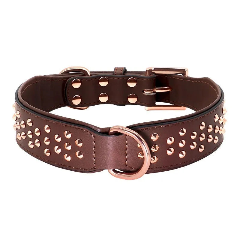 Brown leather dog collar with metal rivets and a silver buckle, shown on a black background.