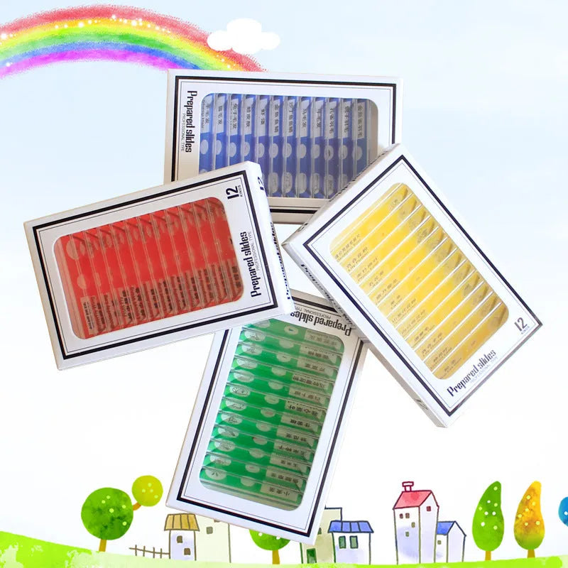 Colour-coded plastic microscope slides set with plant rhizomes and insect specimens for children's observation