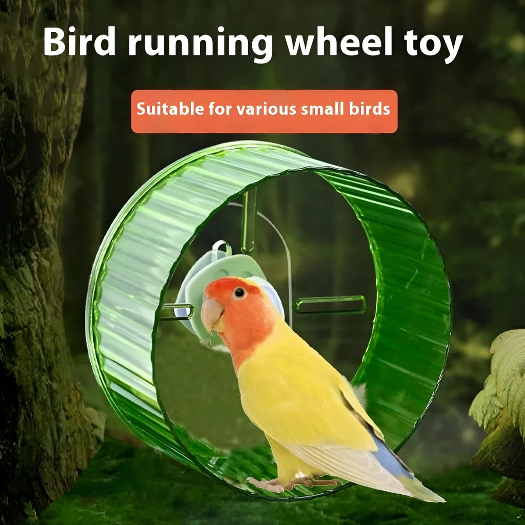 21cm plastic parrot exercise wheel bird treadmill toy in multiple colour options