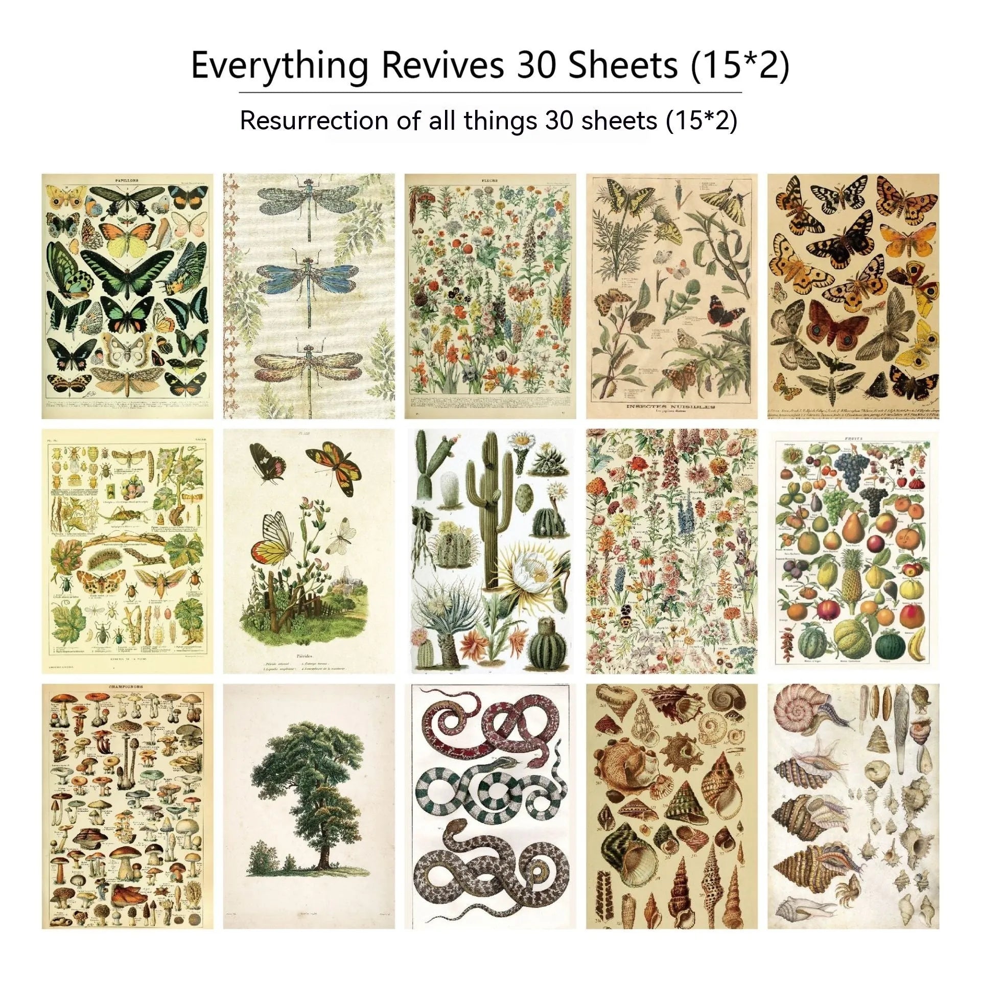 30 pieces of retro-style printed diary newspaper decoration scrapbook paper in assorted colour themes