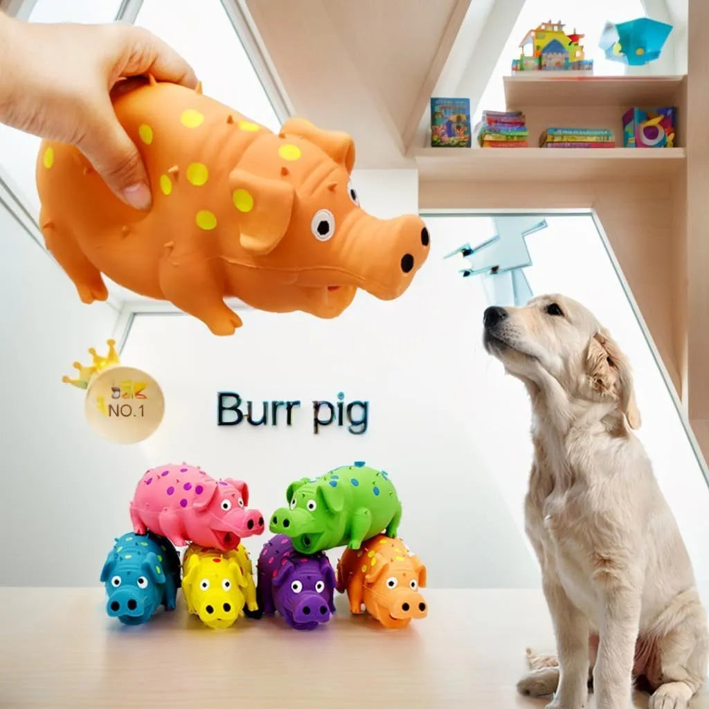 Pig-shaped latex dog chew toy with textured surface and squeaker
