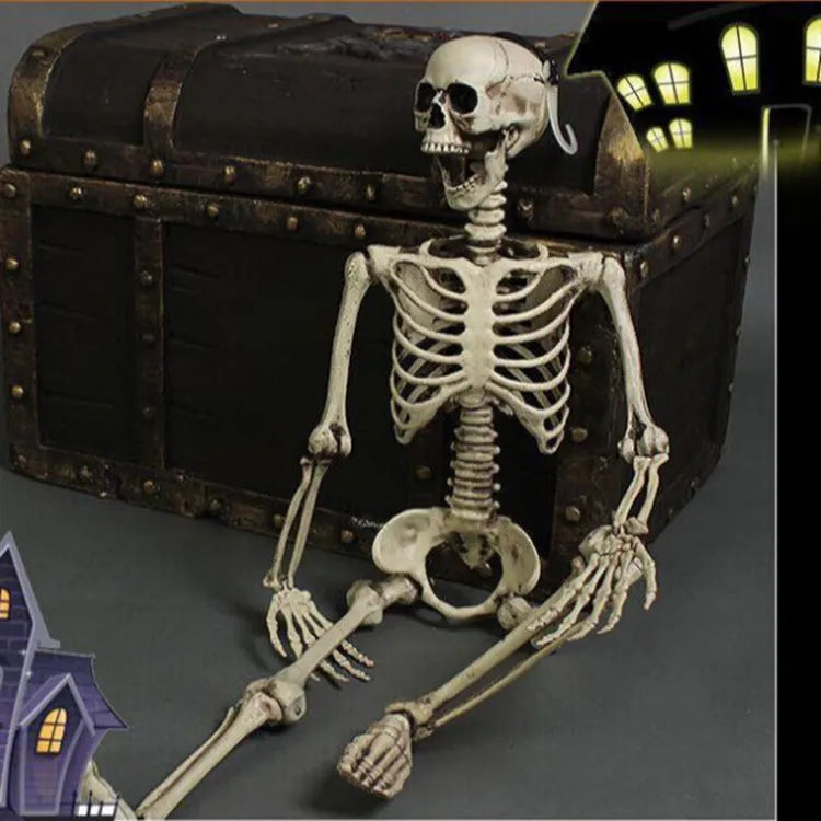 Full-size plastic skeleton prop standing 170cm tall with realistic bone structure
