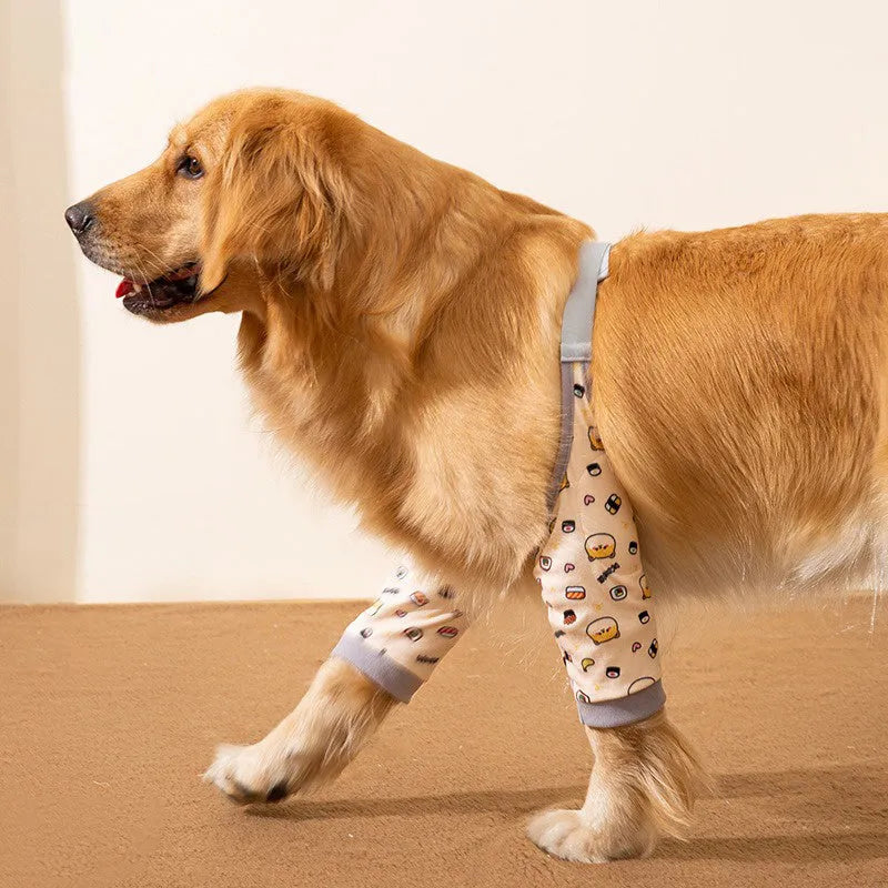 Dog wearing blue knee protector with extra-thick elbow padding and matching scarf