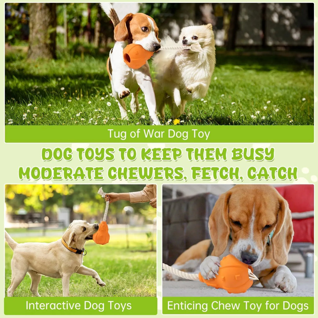 Natural rubber dog chew toy with a long strap and hollow centre for treat dispensing.