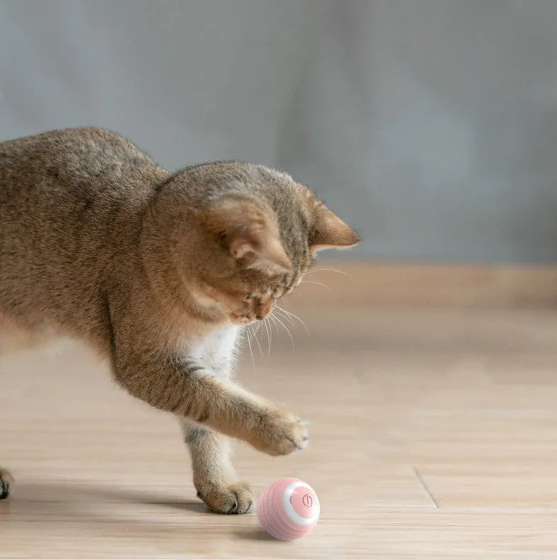 Blue rechargeable automatic moving cat toy ball with charging cable
