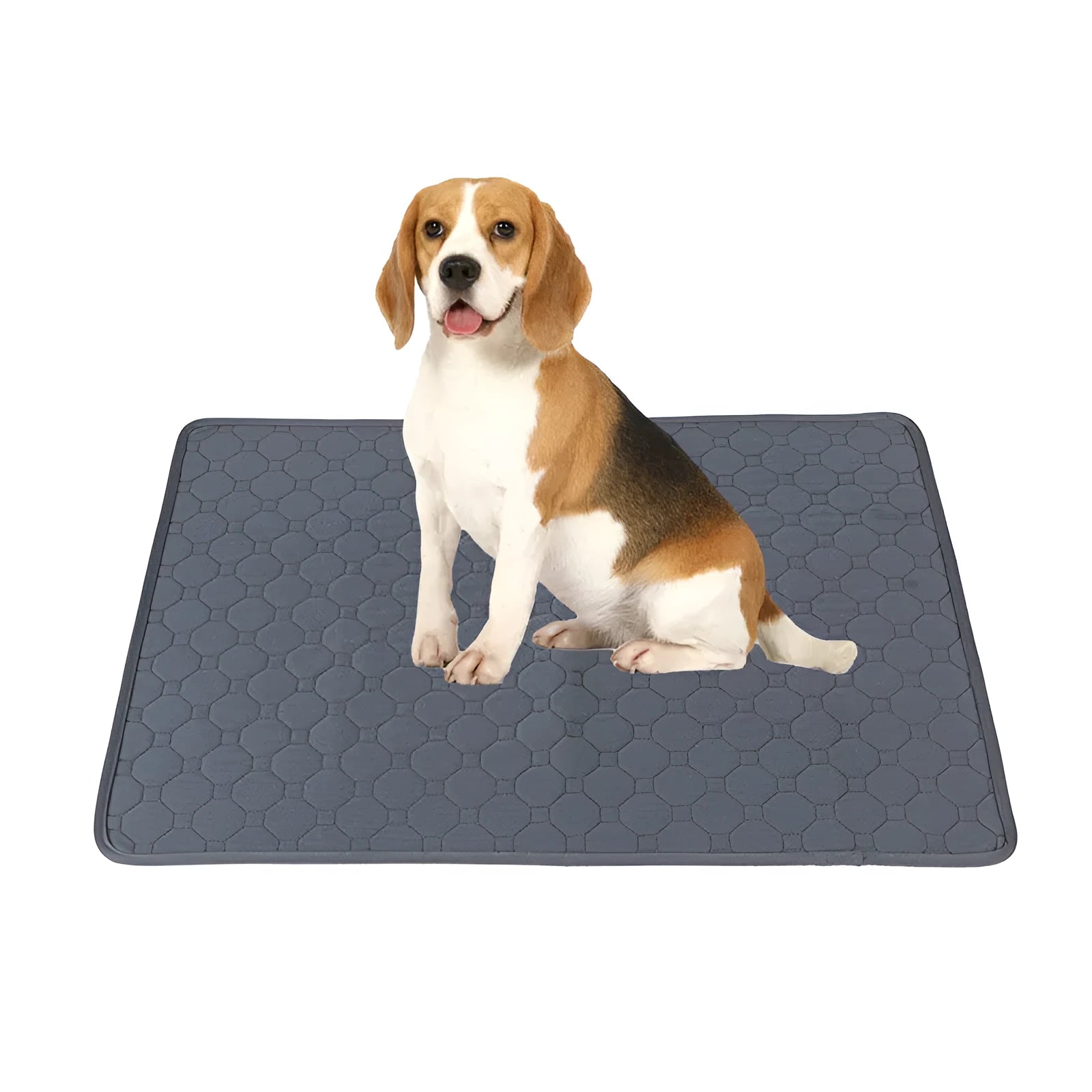 Two washable dog pee pads in grey and khaki on a floor, one with a small dog standing on it