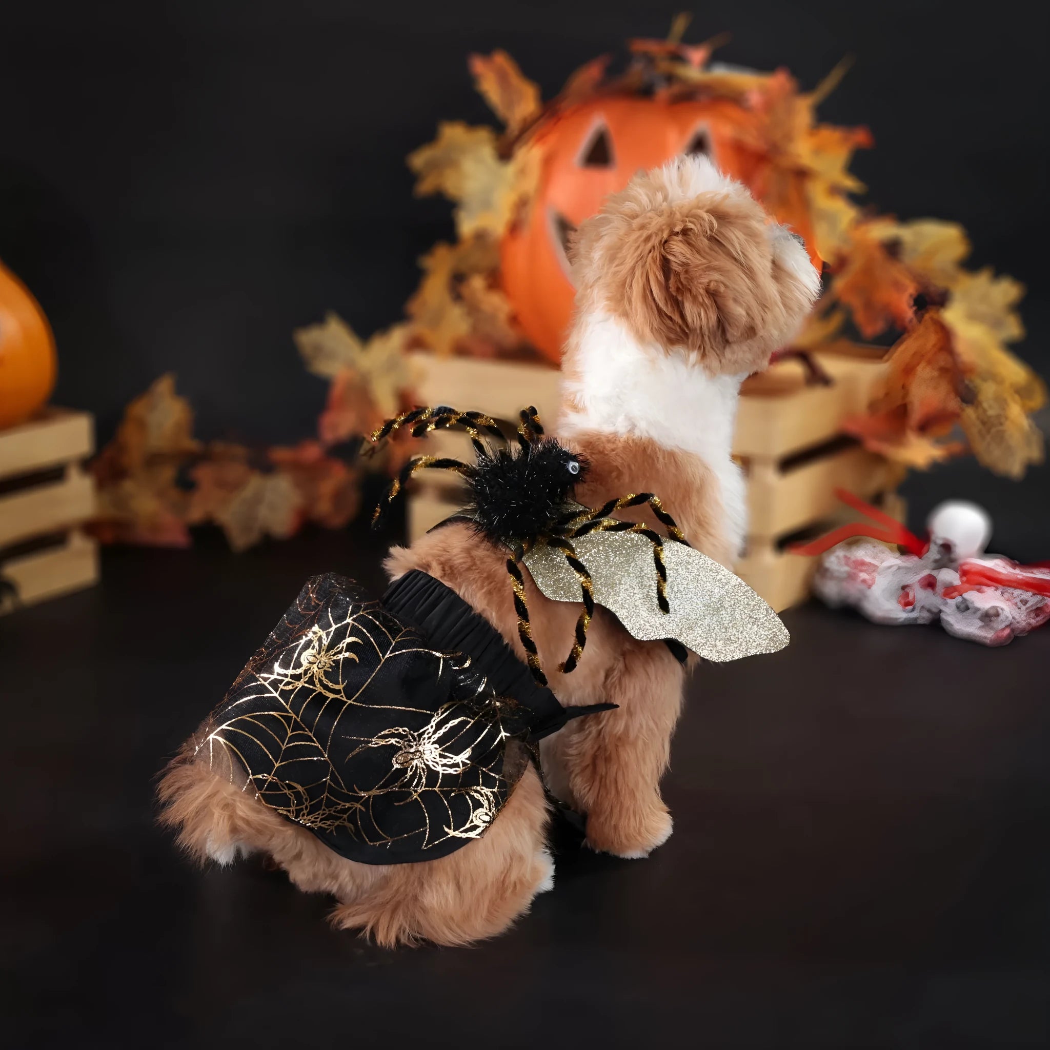 Halloween dog costume suit in polyester fabric showing complete pet clothing for canine dress-up