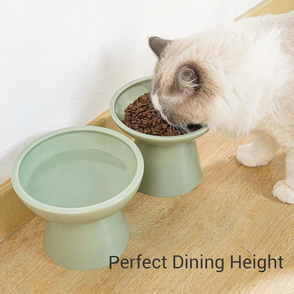 Elevated ceramic cat bowl in blue with wide 16cm diameter shallow design