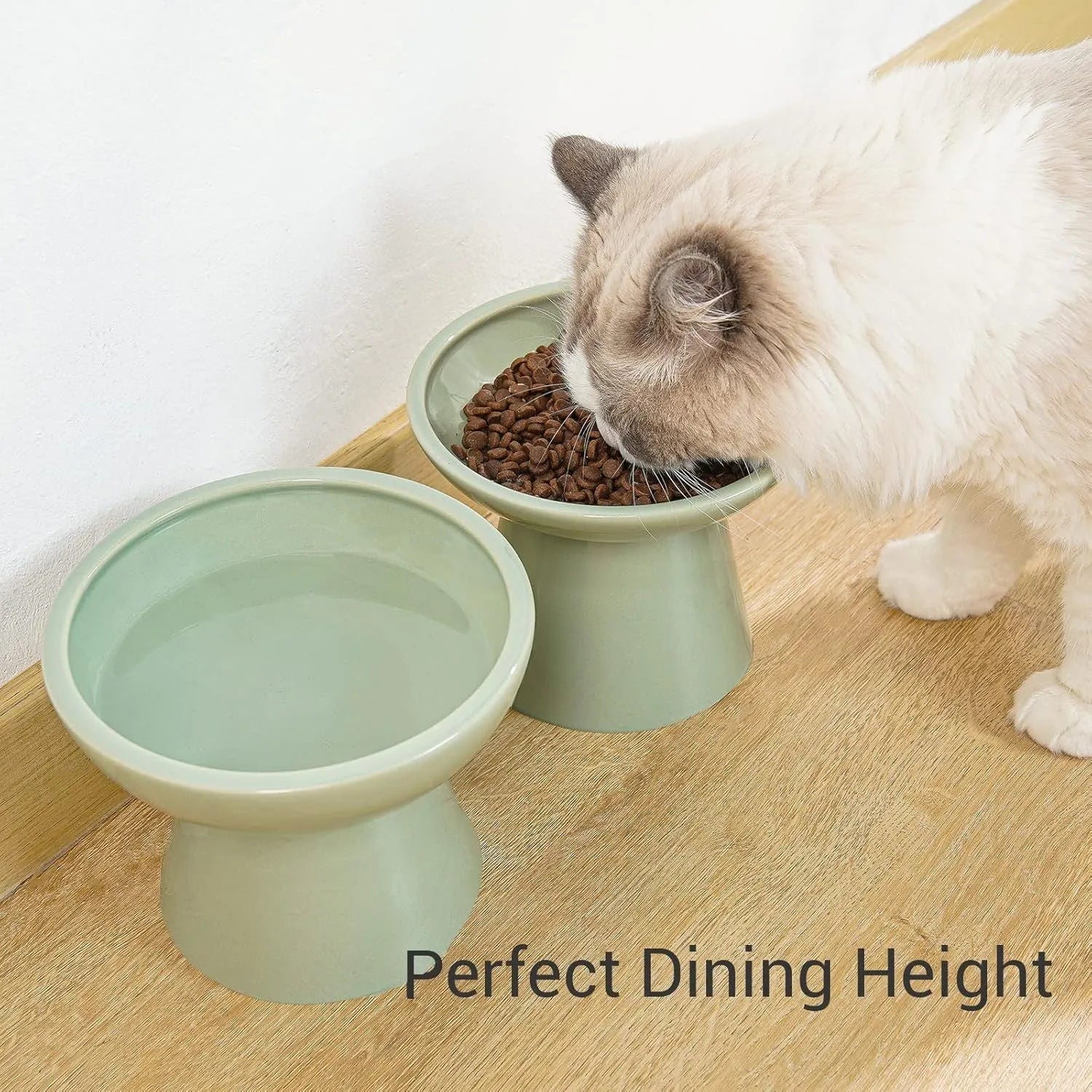 Elevated ceramic cat bowl in blue with wide 16cm diameter shallow design