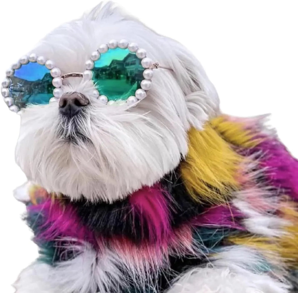 Cat and dog pearl rimmed round sunglasses in five colours black blue coffee orange purple with two sizes 8cm and 11cm