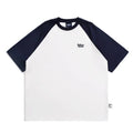 Men's casual Japanese raglan sleeve t-shirt in gray, loose fit, thin chemical fibre blend, pullover style