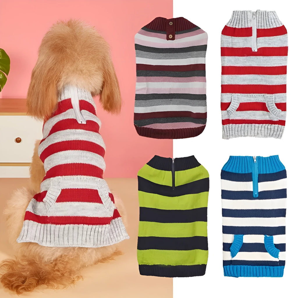 Grey dog sweater with blue collar, horizontal zipper, and a buttoned chest pocket on a small dog.