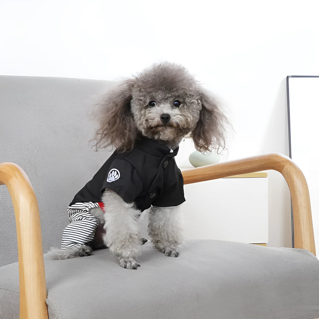 Thin cotton poodle dog clothes in four-legged pants or skirt styles for spring and autumn seasons
