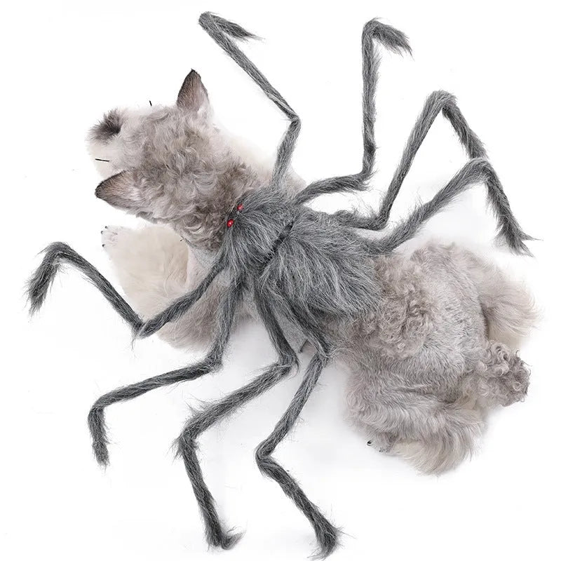 Halloween pet costume shaped like a big spider with eight legs, shown in grey colour.