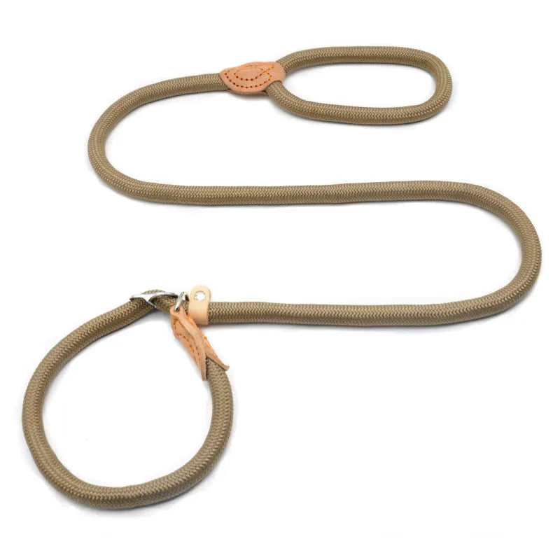 Blast race level training dog leash with black auto-tightening rope collar for secure control