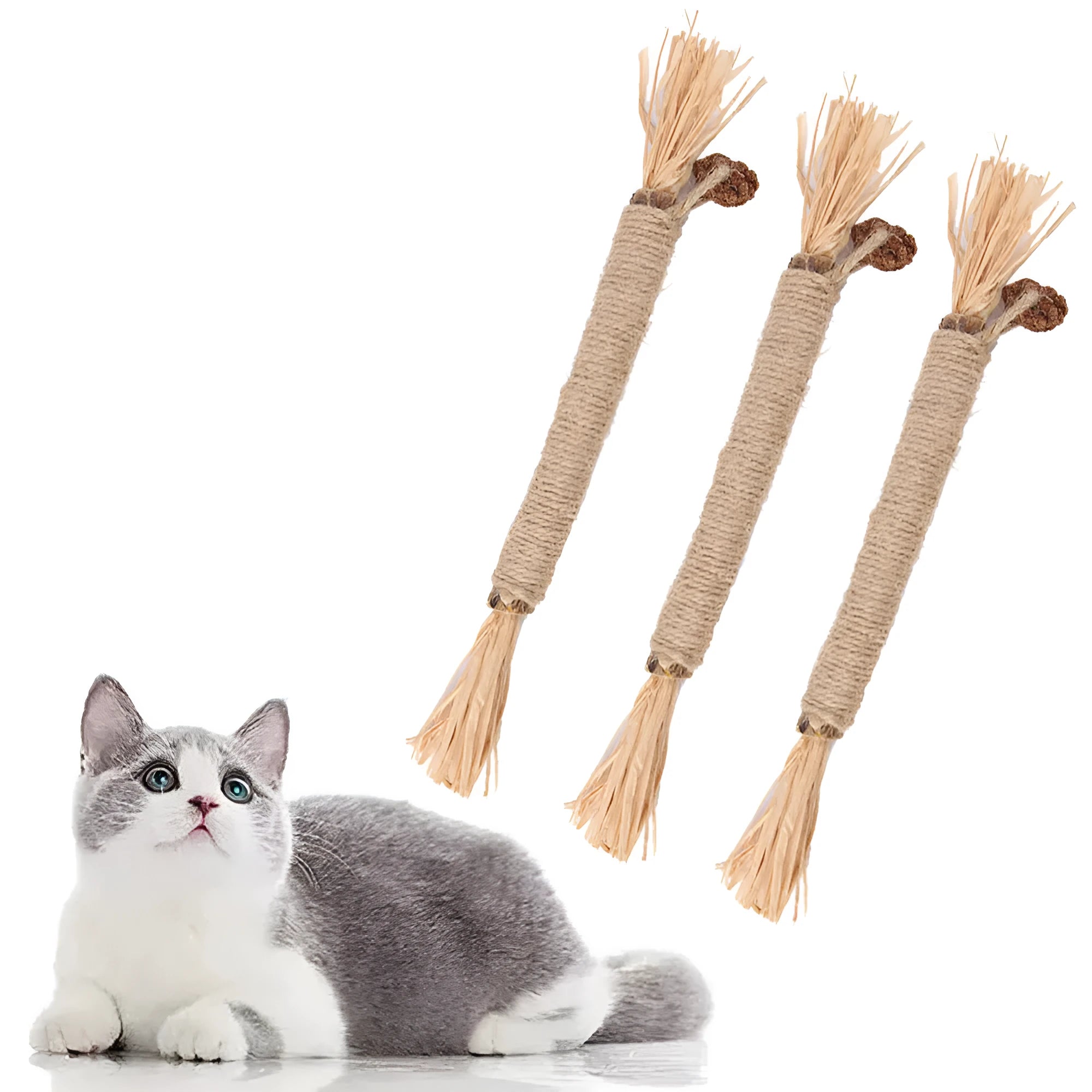 3 pack natural silvervine cat chew sticks with sisal rope for dental care