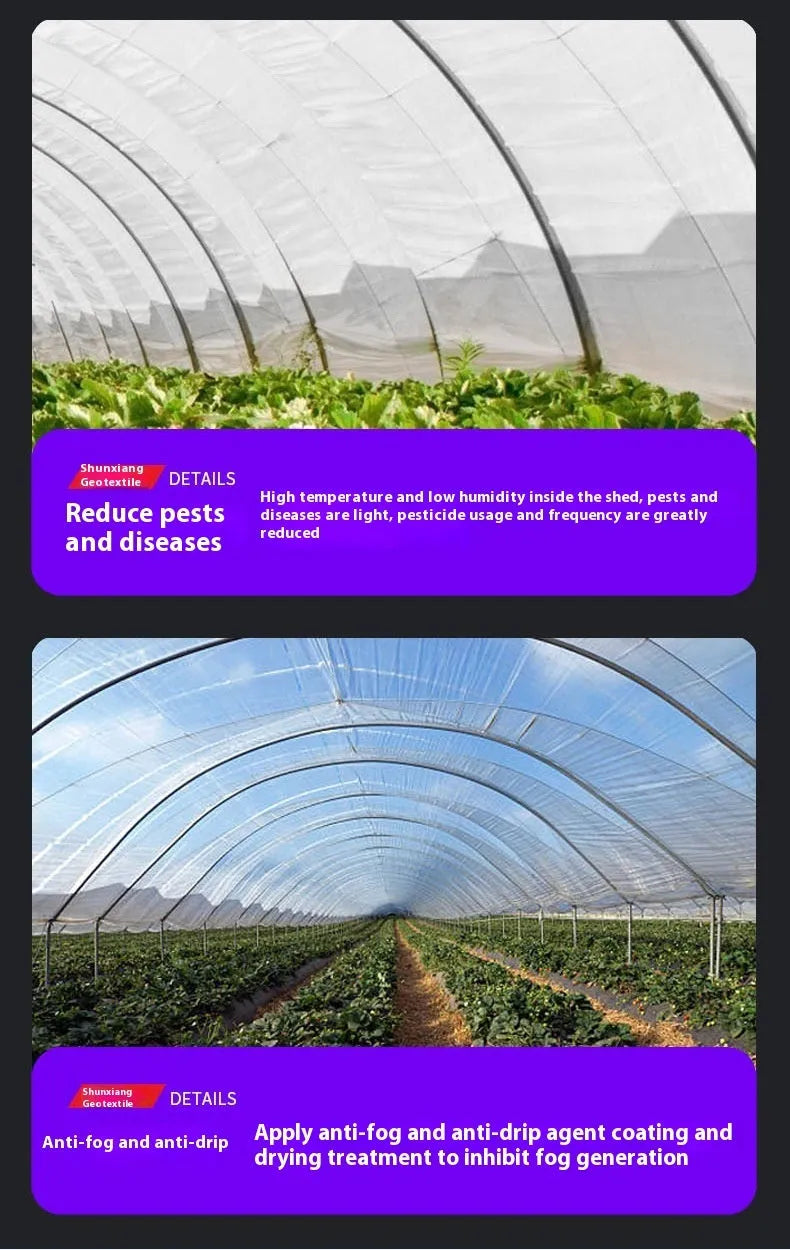 Plastic greenhouse cold film for vegetable shed insulation measuring 4x8 metres