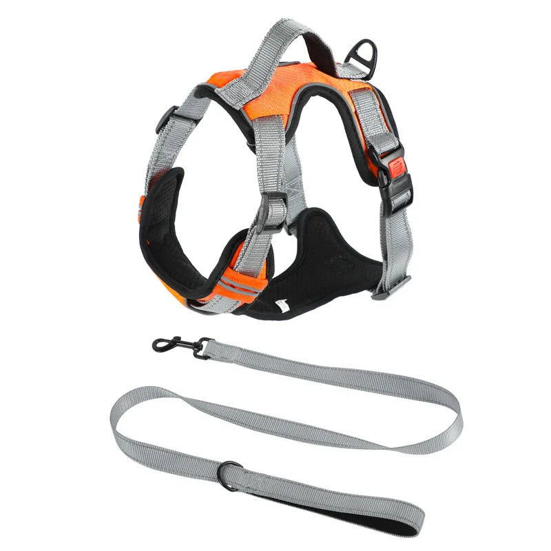 Dog hand holding rope vest chest strap in polyester with colour options and sizes L M XL
