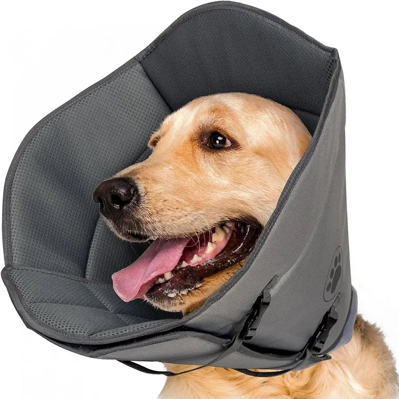 Adjustable polyester pet sterilisation collar in sizes L, M, XL shown in double-layer and single-layer styles.