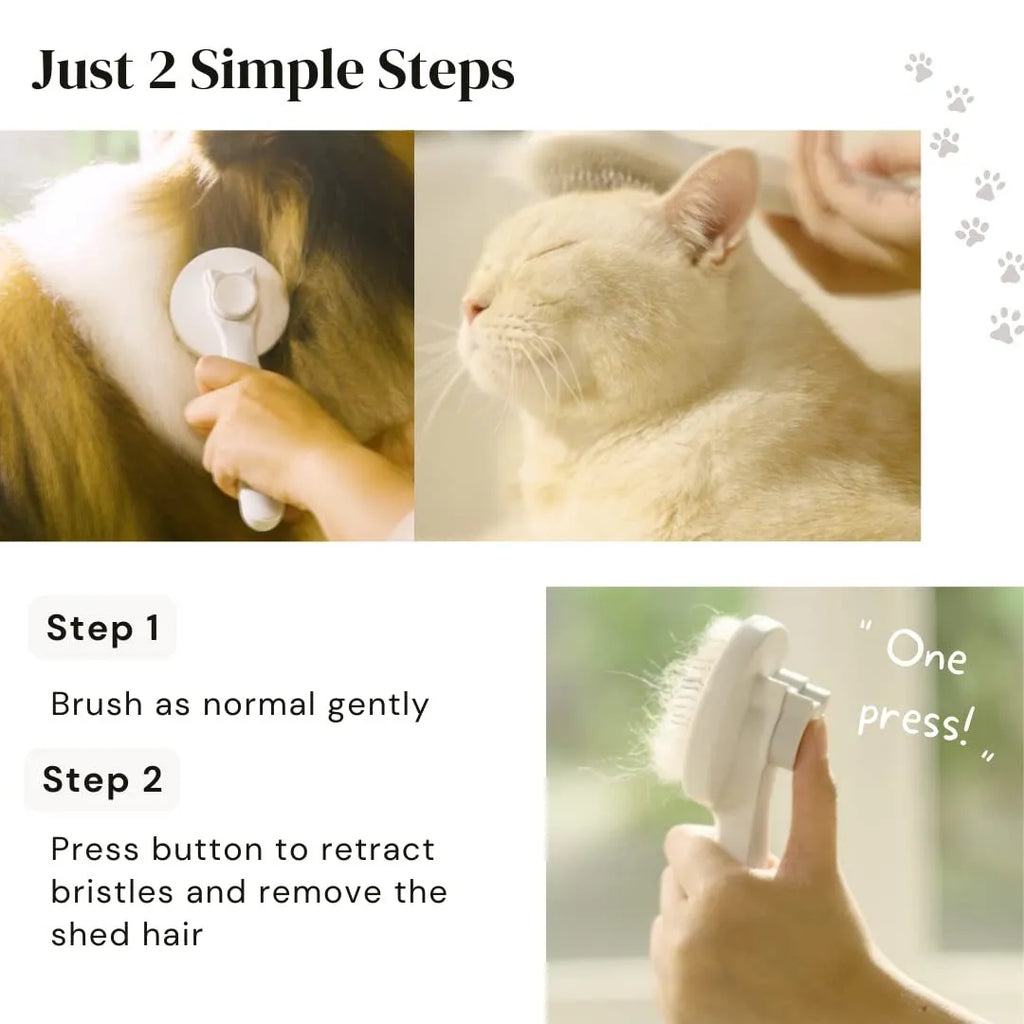Self-cleaning slicker brush for pet grooming with blue handle and stainless steel pins