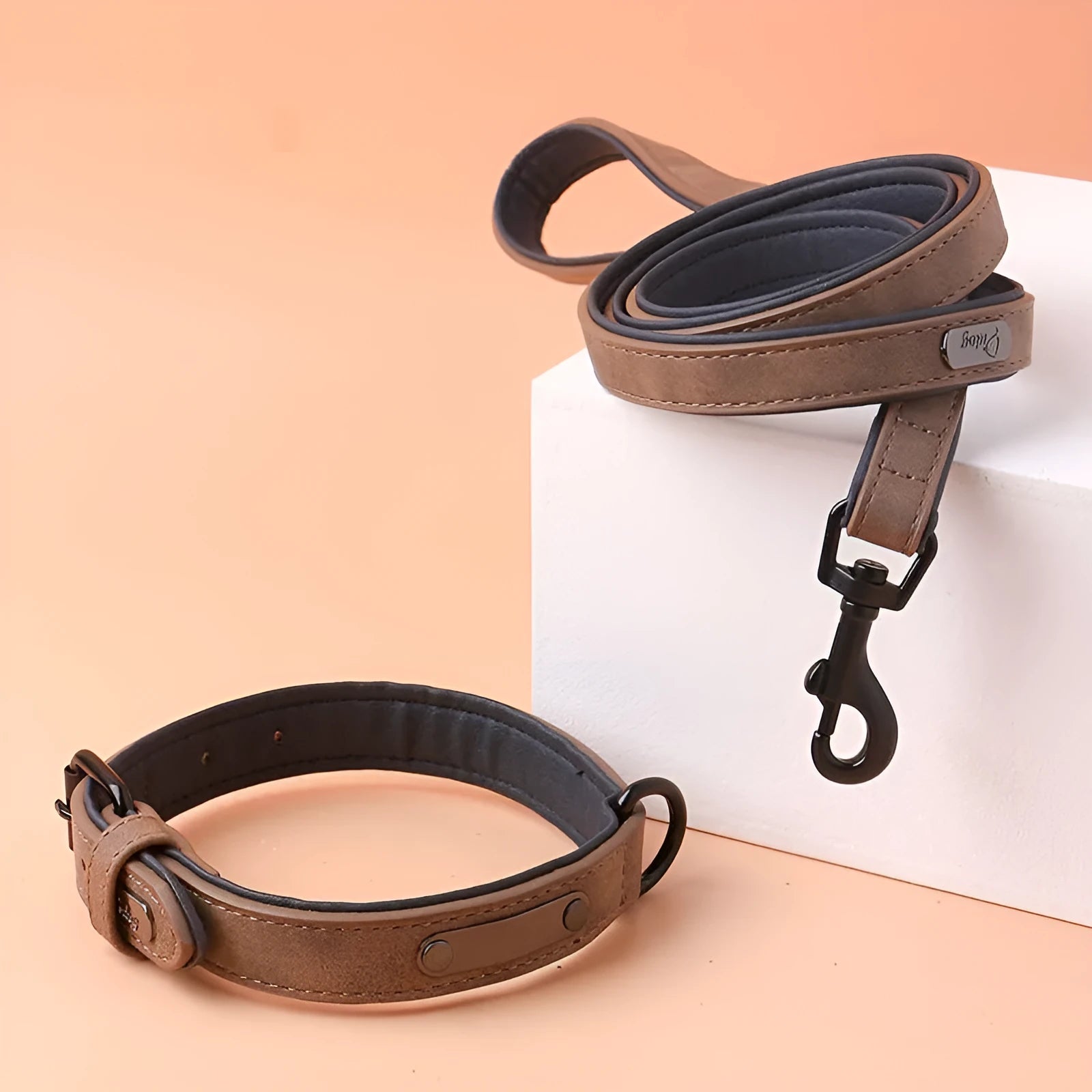 Simple and portable adjustable dog collar in purple with double-layer thickening and anti loss design