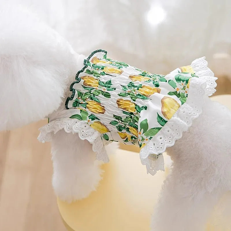 Dog clothes thin breathable strap skirt in rock yellow lemon, polyester, princess style for small dogs