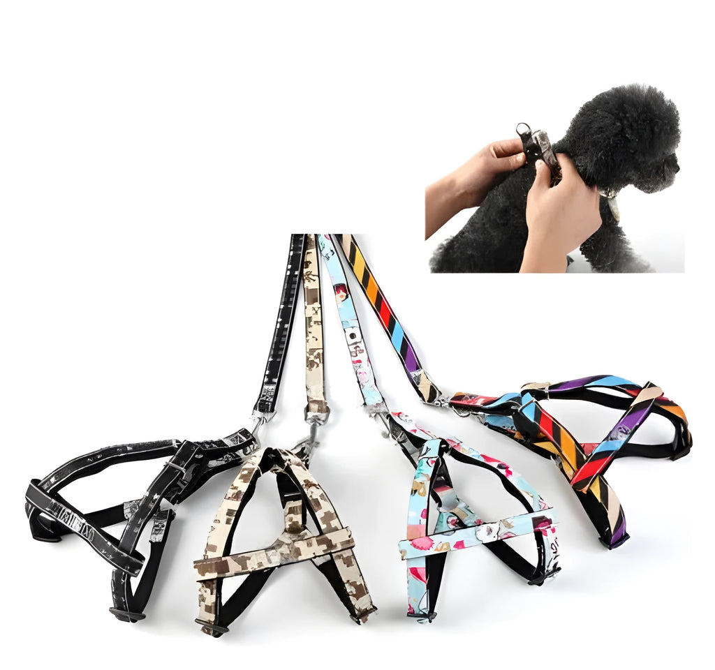 Cowboy dog leash, nylon print pattern, adjustable, for small dogs, black and colourful options