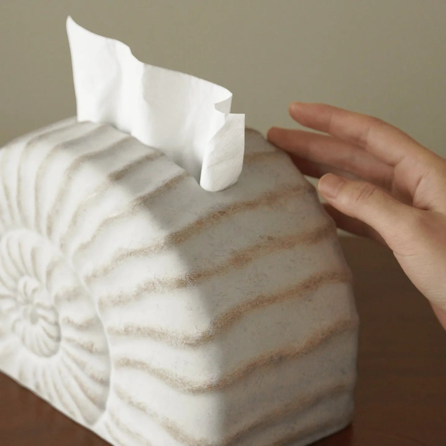 Modern conch ramble patterned resin decorative tissue box holder on a table.