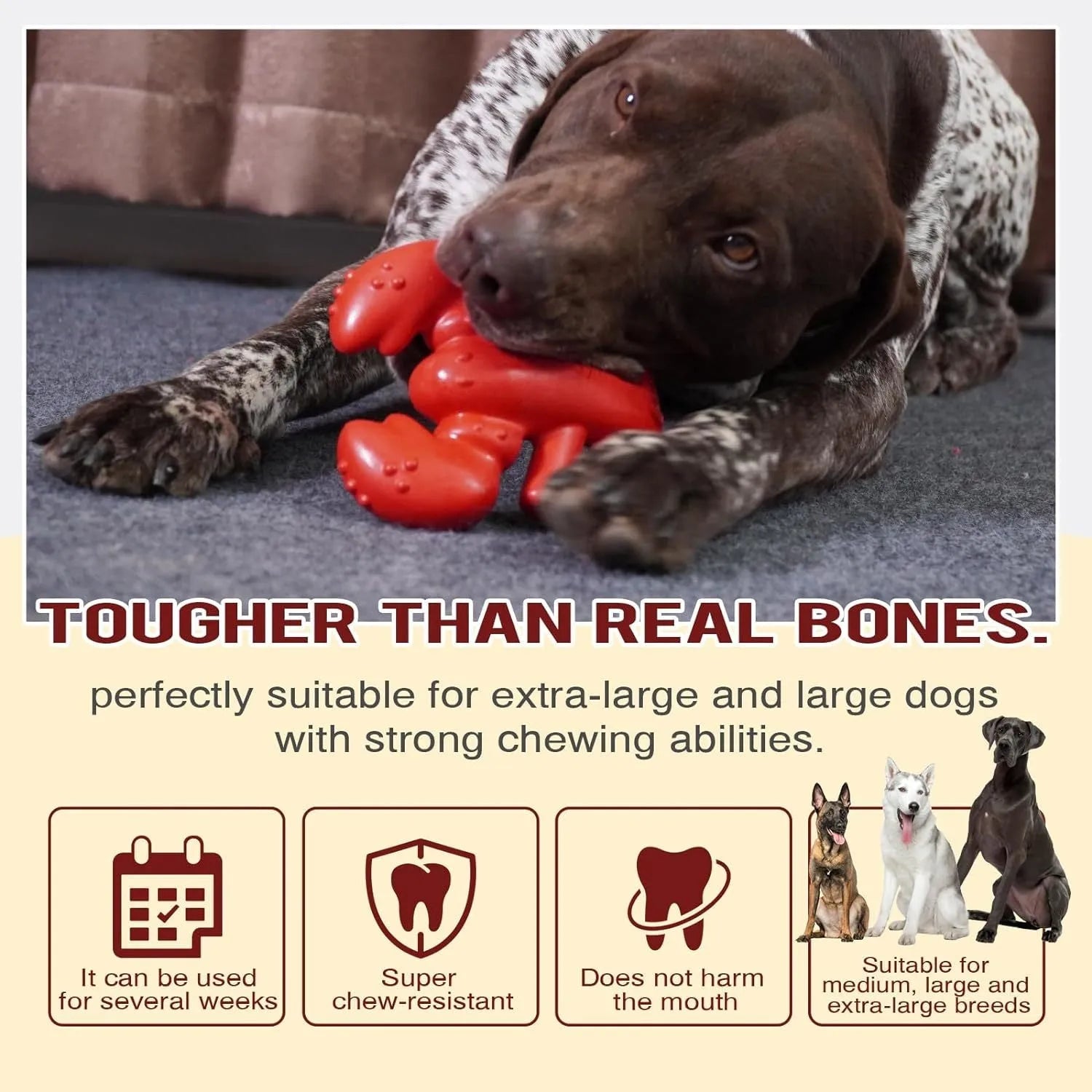 Red nylon dog chew toy for large breed aggressive chewers showing teeth cleaning texture
