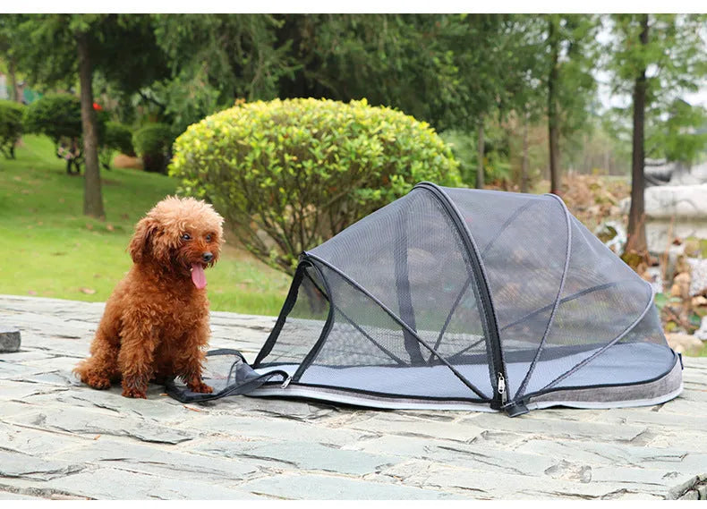 Portable cat folding tent with half mesh panels in black or blue colour options