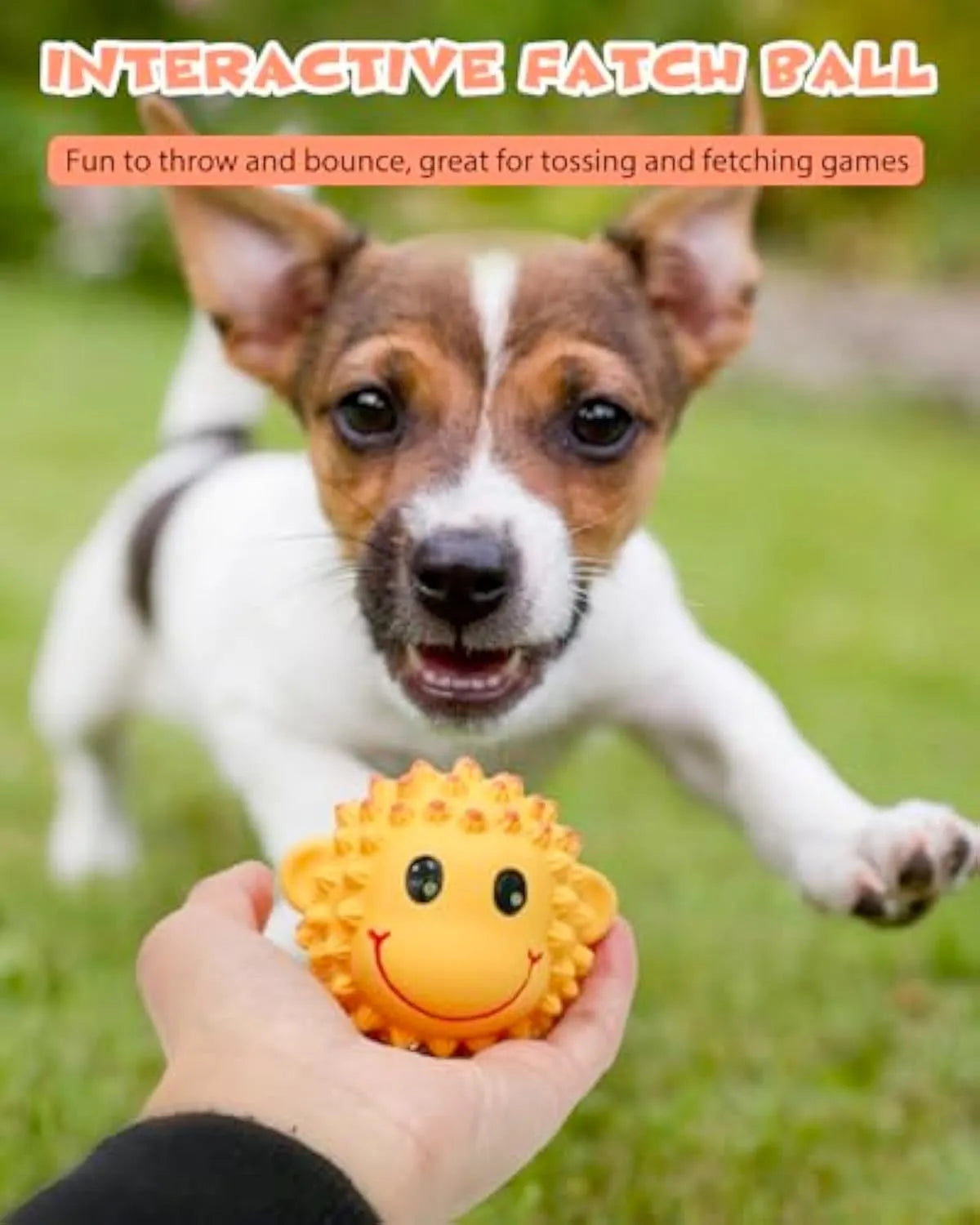Set of four colourful animal-shaped latex dog toys with spiky surfaces for dental cleaning